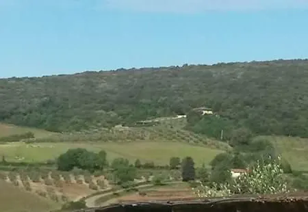 Фермерский дом Podere Mammoleta Fattoria la Marsiliana