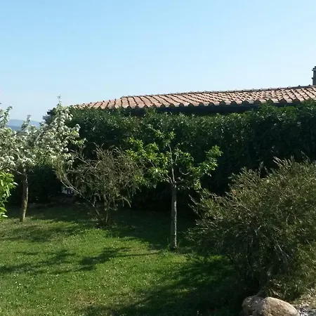 Podere Mammoleta *