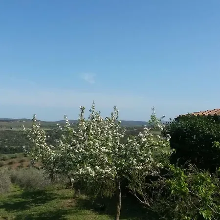 Podere Mammoleta Фермерский дом Fattoria la Marsiliana
