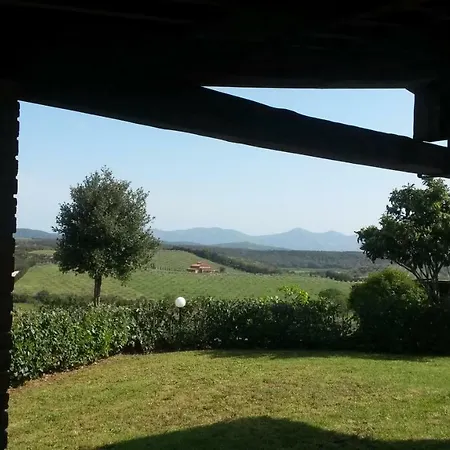 Podere Mammoleta *