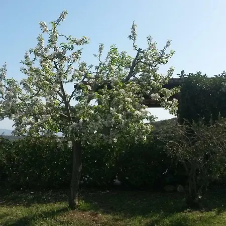 Podere Mammoleta Farm stay Fattoria la Marsiliana