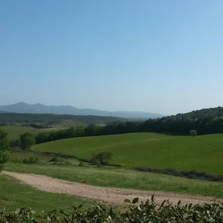 Podere Mammoleta *