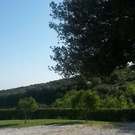 Podere Mammoleta Fattoria la Marsiliana